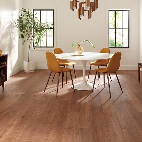 Dining Room Luxury Vinyl Plank LVP -  Design Network COLORTILE in Wichita, KS