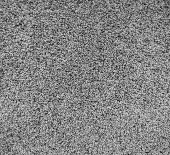 Design Network COLORTILE Carpet Flooring